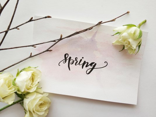 spring graphic with flower